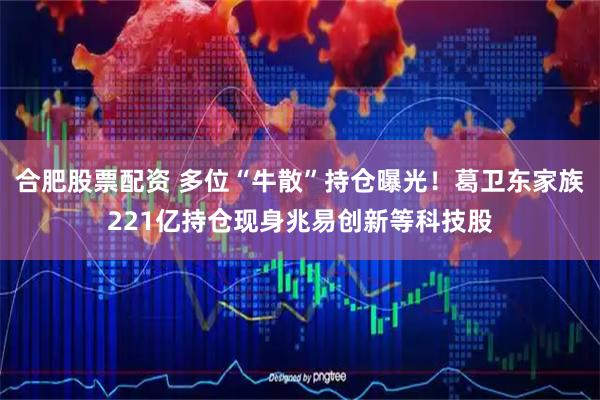合肥股票配资 多位“牛散”持仓曝光！葛卫东家族221亿持仓现身兆易创新等科技股